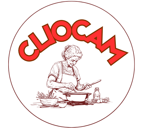 cliocam.com